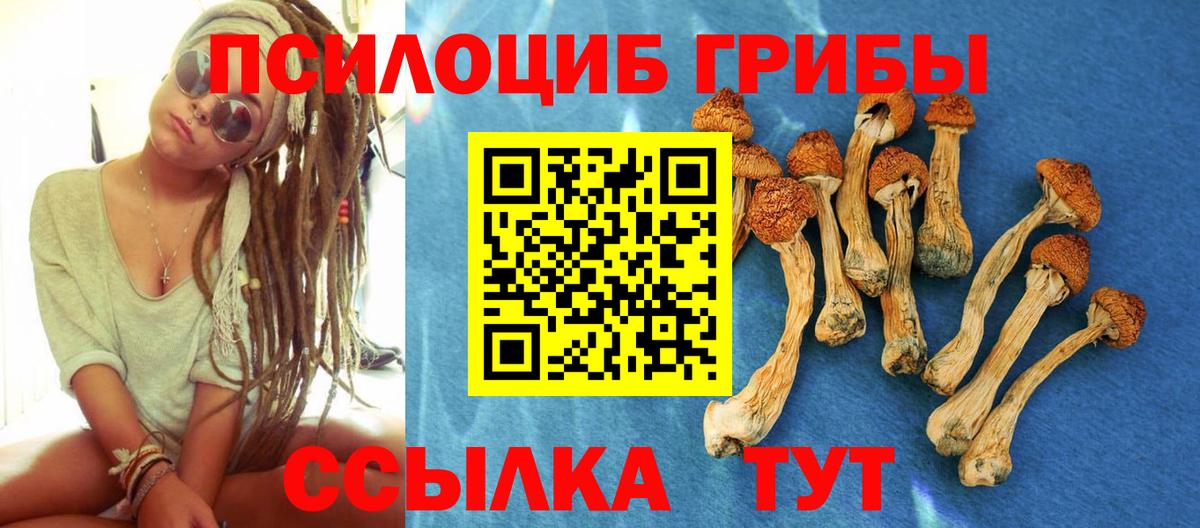 где можно купить   Вход с VPN  Лысьва  Галлюциногенные грибы прущие грибы  Галлюциногенные грибы Psilocybe 
